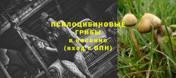 PSILOCYBIN Богородицк