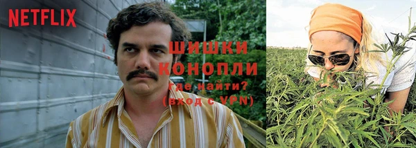 PSILOCYBIN Богородицк