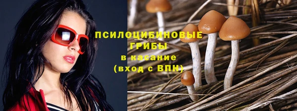 спайс Белокуриха
