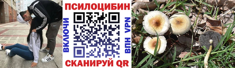даркнет сайт  Ижевск  hydra ТОР  Псилоцибиновые грибы Magic Shrooms 